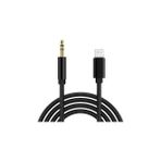 Nacario Hadron Lightning To 3.5mm Aux Ses Kablosu, 1 Metre, Ios Uyumlu Dönüştürücü (Siyah)
