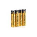 Nacario Lunatic Meganit LR03 Aaa Ince Kalem Pil (Ince Kalem Pil 12 Adet)