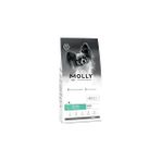 Nacario Molly Hypoallergenic Derma Care Küçük Irk Somonlu Yetişkin 2 kg