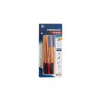 Nacario Pensan PE01010TKKRMT10 1010 Tükenmez Kalem, 10 Lu Blister 1 Mm,çok_renkli