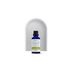 Nacario Phytoil Aromatherapy Tamanu Yağı- Tamanu 50 ml PHY18