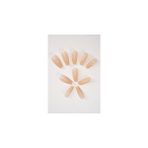 Nacario Pop Beauty Takma Tırnak Seti & Zararsız Yapıştırıcı Protez