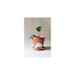 Nacario Terracotta Konik Saksı+Tabak • Bohem Beyaz (Orta)