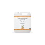 Nacario Tito Yeşil Çay Maserasyon Yağı Camellia Sinensis 5 kg