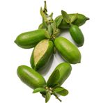 Nadir 3 Adet Parmak Limon Tohumu