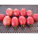 Nadir Thailand Yumurta Domates Tohumu 10 Tohum + Süpriz Hediye To