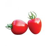 Nadir Tomatoberry Çilek Domatesi Ekim Seti Çilek Domates Tohumu 10 Tohum Saksı Toprak Kombin