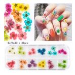 Nail Art kurutulmuş çiçek NG-145