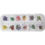 Nail Art Manikür Tırnak Süsleme Yapraklı Kuru Çiçek 12li Set Aba Nails
