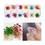 Nail Master 12'li Gerçek Kuru Çiçek Nail Art 3D Tırnak Süsleme Seti Renkli Tasarımlar - Çok Renkli