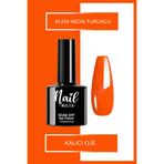 Nail Master M234 7.3 ml Kalıcı Oje