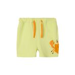 Name It Erkek Çocuk Yeşil Günlük Şort 3-4 Yaş Beden NMMZAKKO NREG SHORTS BOX Modeli