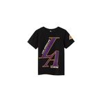 NAME IT Nkmmateo NBA Ss Top Box OUS erkek çocuk tişörtü, Siyah, 116