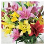 Nandina Botanik 6 Adet Full Karışık Kokulu Lilyum (Zambak) Çiçeği Soğanı - 1