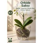 Nandy Home Orkide Saksısı Büyük Boy Şeffaf Alt Tablalı Dekoratif Saksı - 1 Adet