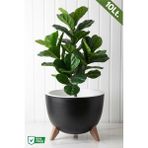 Nandy Home Ufo Model Saksı - 10LT. Saksı - Yuvarlak Modern Saksı - Siyah