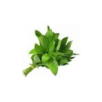 Nane Fresh Geniş Yaprak Tohumu Paket 100 Adet