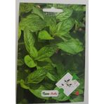 Nane Tohumu 1 PAKET 100 Adet Kokulu Nane Tohum Aromalı Nane Tohum