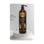 Nano Absolute Ab-I Hayat Nano Saç Şampuanı 12 İçerikli Absolute Professional
