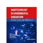 Nanotechnology in Environmental Remediation: Perspectives and Prospects