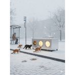 Narım Kedi Evi Kedi Yuvası Soğuk Iklim -30 Dereceye Dayanıklı 3 Kedilik