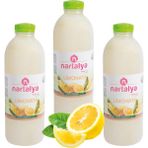 Nartalya Dondurulmuş Doğal Limonata Şeker Ilavesiz 3 Adet 900 Ml.