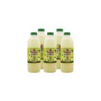 Nartalya Dondurulmuş Doğal Limonata, Şeker İlavesiz 5 Adet 900 ml.