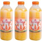 Nartalya Dondurulmuş Sıkma Portakal Suyu 3 Adet x 950 Ml.