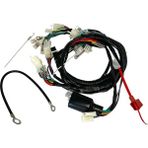 Naser Motor Cg Elektrik Tesisatı (3 Fişli)