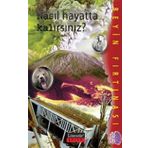 Nasıl Hayatta Kalırsınız - Beyin Fırtınası - Kolektif