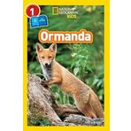 National Geographic Kids - Ormanda: Seviye 1