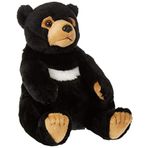 National Geographic Lelly Ulusal Coğrafi Temel Koleksiyon Black Bear
