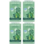 Natracare Organik Ve Doğal Günlük Ped Mini 30'lu 4'lü Set - 120 Adet Ped