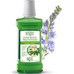 Natur Vital Gargara Nane Aromalı Antiseptik 500 ml