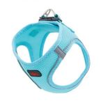 Natura Pet L Mavi Radyans Air Net Köpek Bel Tasması