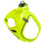 Natura Pet Xs Neon Sarı Air Net Bel Tasması