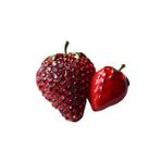 Natural Çilekler Broş Yaka iğnesi