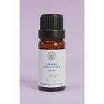 Naturalife Farm House Saf-Doğal Çay Ağacı (Melaleuca alternifolia)) Esansiyel Uçucu Yağ, Aromaterapi Yağı, Buhurdan Yağı, Difüzör Yağı (su-buhar distilasyonu)