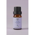 Naturalife Farm House Saf-Doğal LAVANDIN - MELEZ LAVANTA (Lavandula intermedia) Esansiyel Uçucu Yağ, Aromaterapi Yağı, Buhurdan Yağı, Difüzör Yağı (su-buhar distilasyonu)