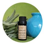 Naturalife Farm House Saf-Doğal Tıbbi Adaçayı (Salvia officinalis)) Esansiyel Uçucu Yağ, Aromaterapi Yağı, Buhurdan Yağı, Difüzör Yağı (su-buhar distilasyonu) (10)