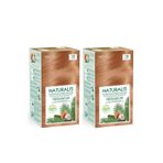Naturalis 7.32 Bal Kumral %100 Vegan 2 Adet Saç Boyası