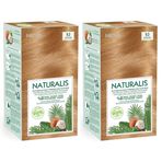 Naturalis 9.3 Açık Altın Sarısı %100 Vegan 2'li Set Saç Boyası