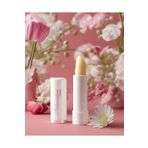 NATURALİVE BEAUTY Dudak Koruyucu 6 G 8699383820019