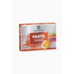 NaturalNest Defence 12 Adet Pastil