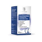 Naturalnest Glucosamine Chondroitin Curcumin & Msm Tablet
