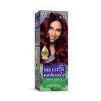 Naturals Saç Boyası Kızıl Kestane 3/66