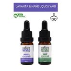 NaturaMisse Lavanta Uçucu Yağı 10 Ml Nane Uçucu Yağı 10 Ml %100 Saf Aromaterapi Yağ Serisi