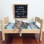 Naturbird Ahşap Kedi Yatağı