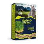 Nature Plan 500 ml Premium Kedi Çimi