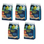 Nature Plan 5x1 kg Meyve Aromalı Ballı Muhabbet Kuşu Yemi